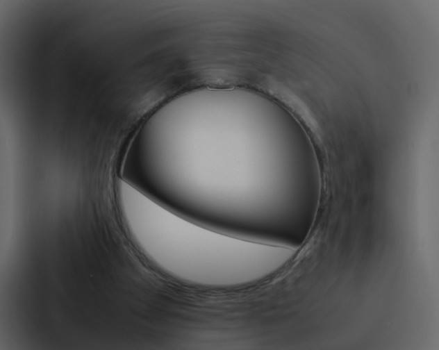 X0000088130105200705141005