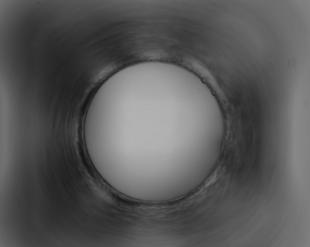 X0000088130106200705141005