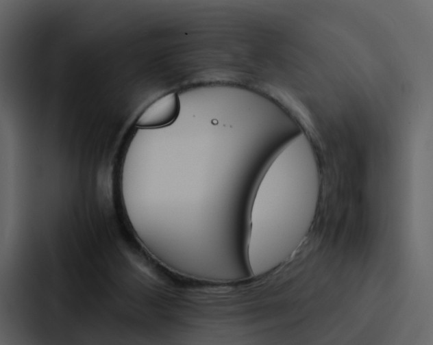 X0000088130108200705141005