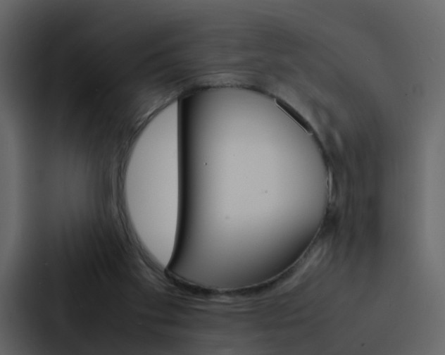 X0000088130109200705141005