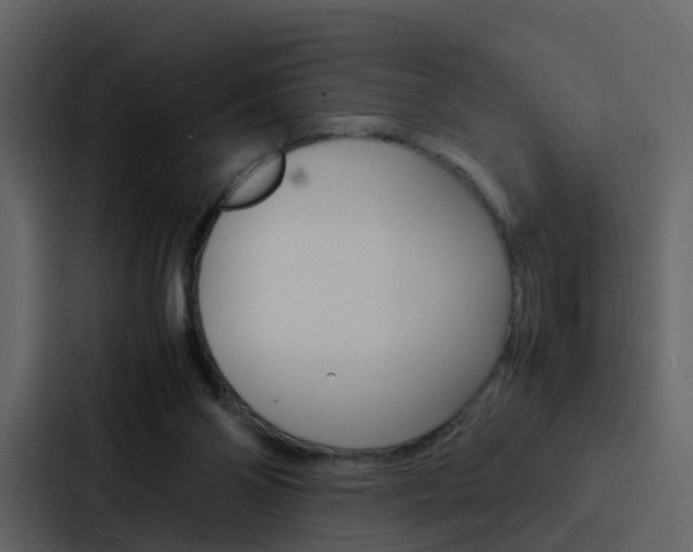 X0000088130110200705141005