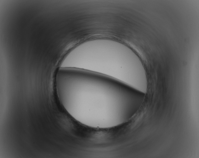 X0000088130111200705141005