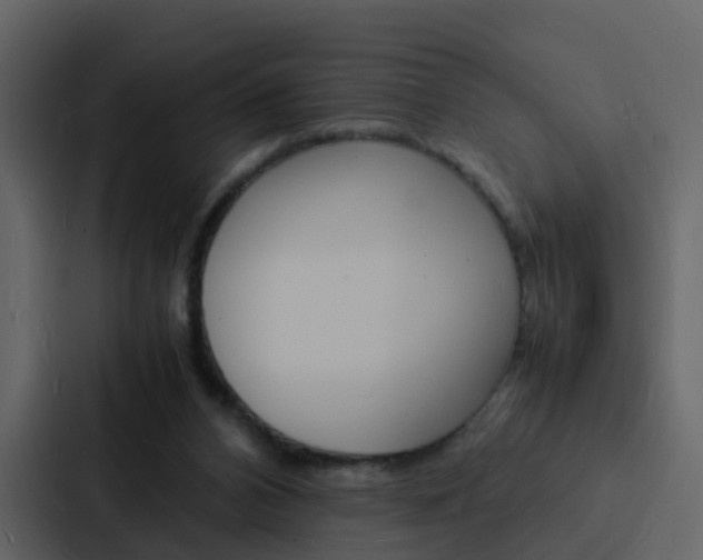 X0000088130112200705141005