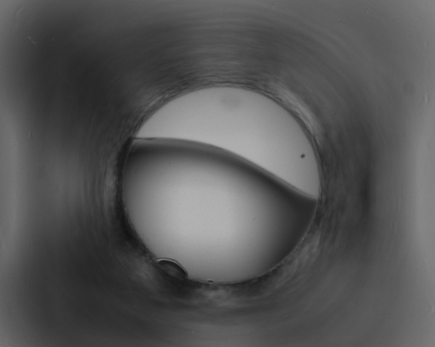 X0000088130113200705141005