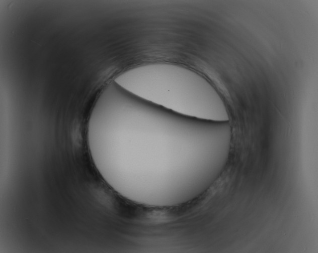 X0000088130114200705141005