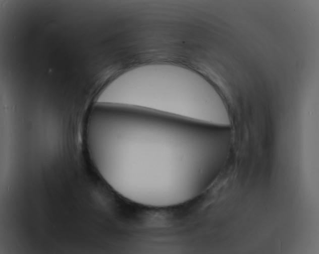 X0000088130115200705141005