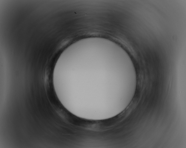 X0000088130116200705141005