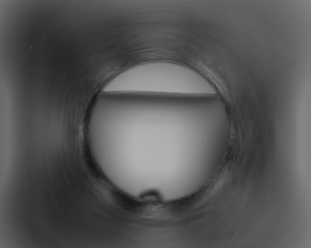 X0000088130117200705141005