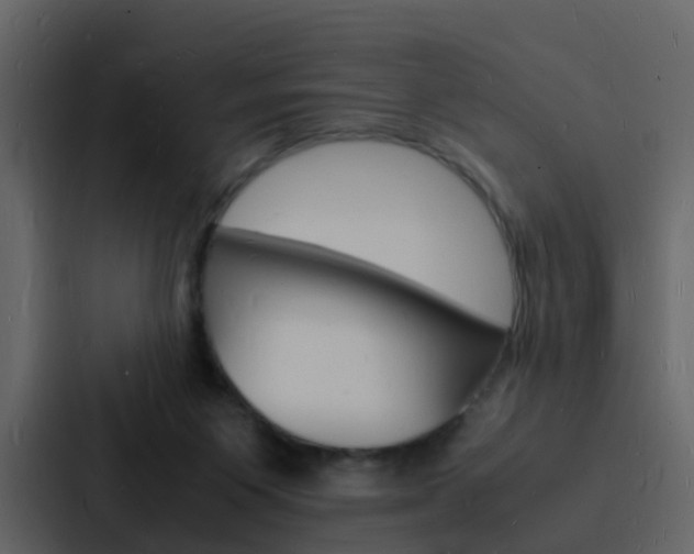 X0000088130119200705141005