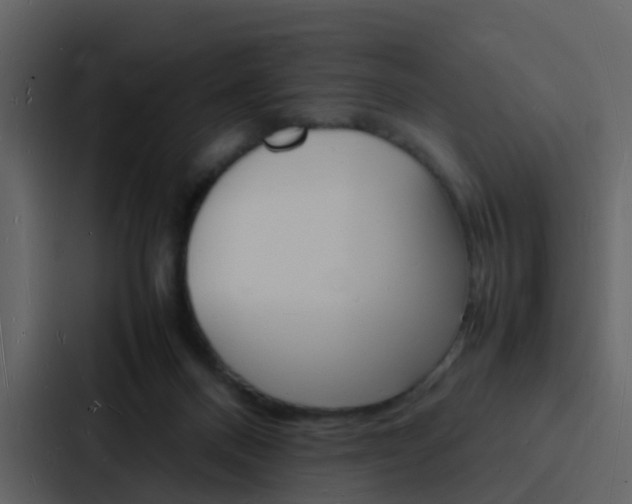 X0000088130120200705141005