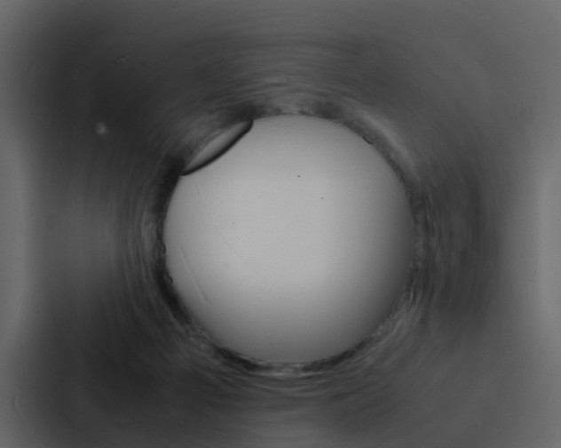 X0000088130121200705141005