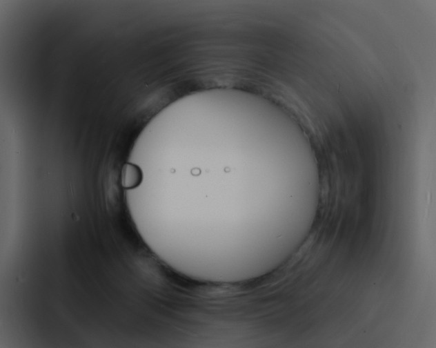 X0000088130122200705141005