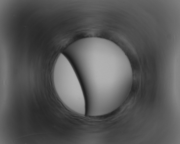 X0000088130127200705141005