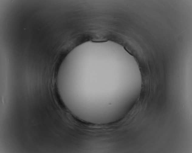 X0000088130129200705141005