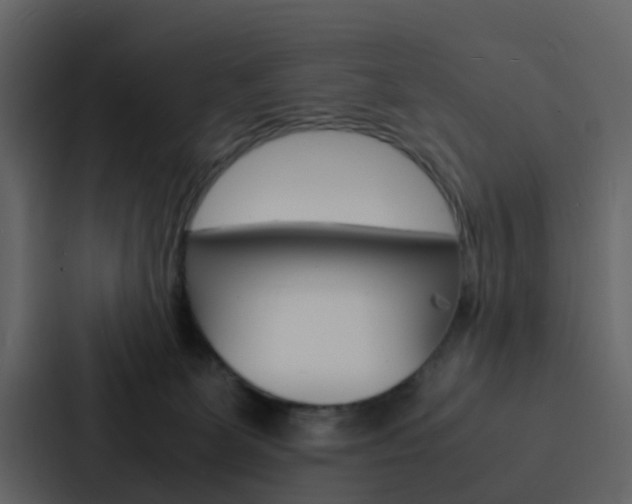 X0000088130131200705141005