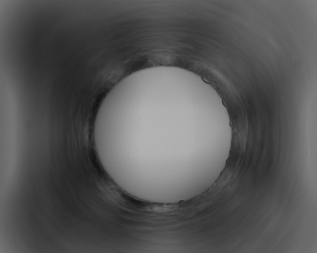 X0000088130134200705141005