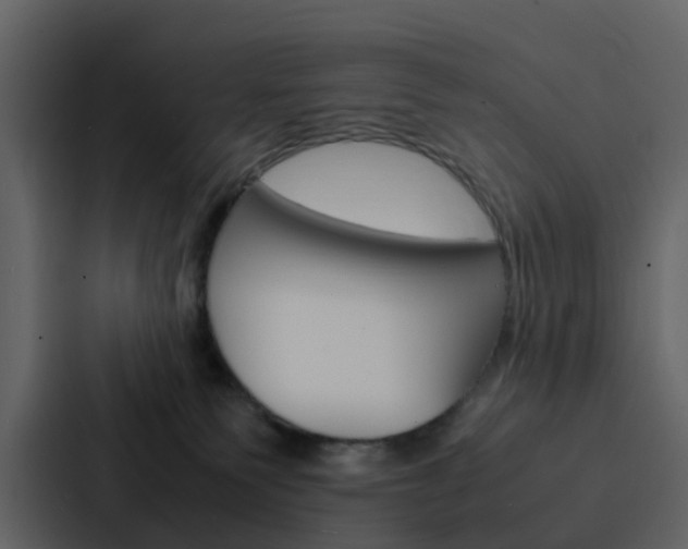X0000088130135200705141005