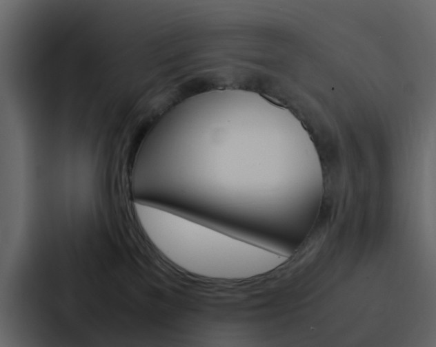 X0000088130137200705141005