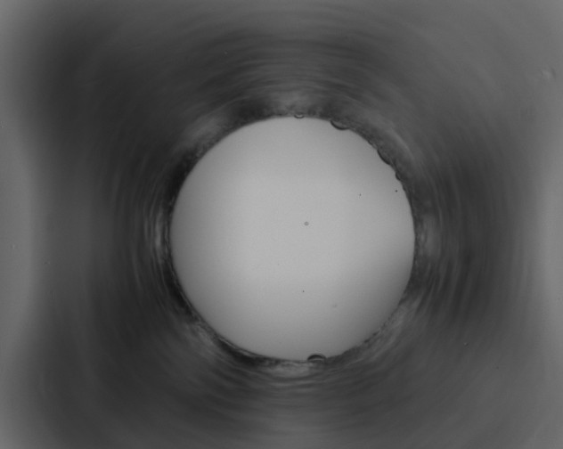 X0000088130138200705141005