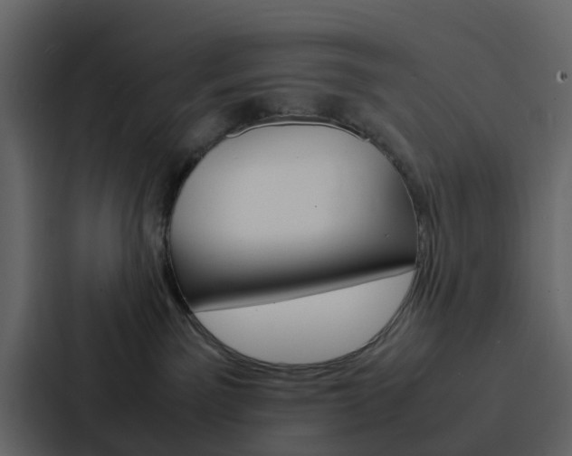 X0000088130141200705141005