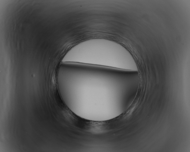 X0000088130143200705141005