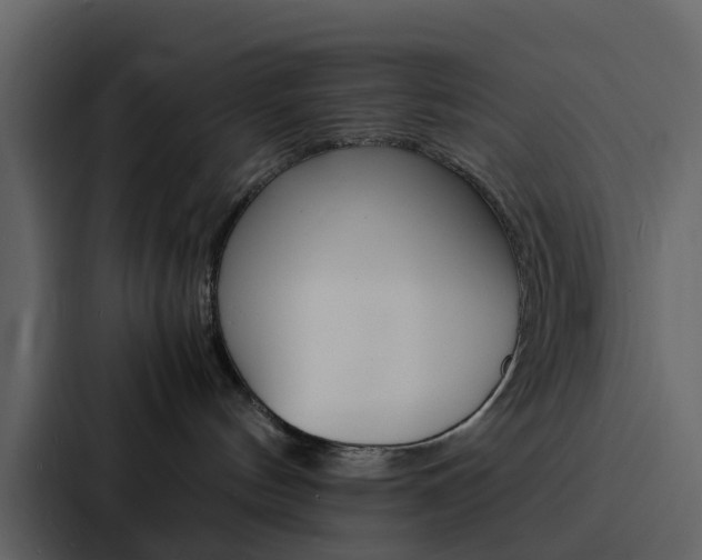 X0000088130144200705141005