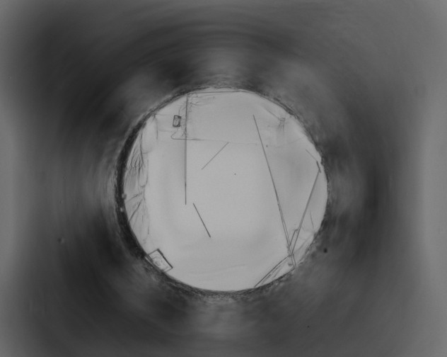 X0000088130146200705141004