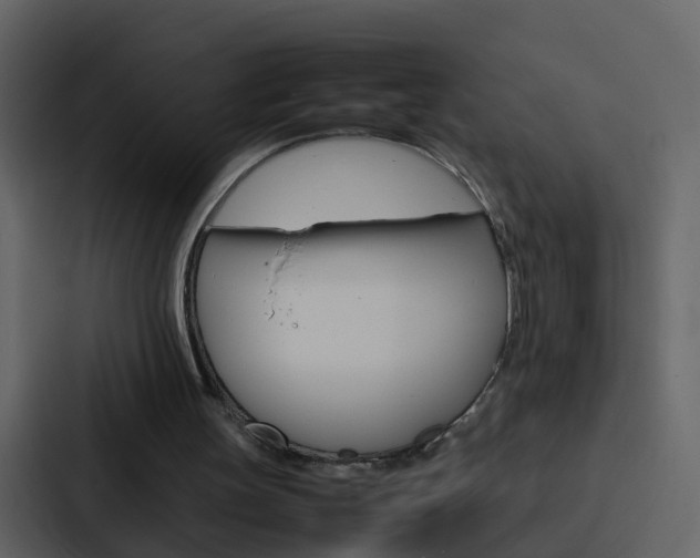 X0000088130147200705141004