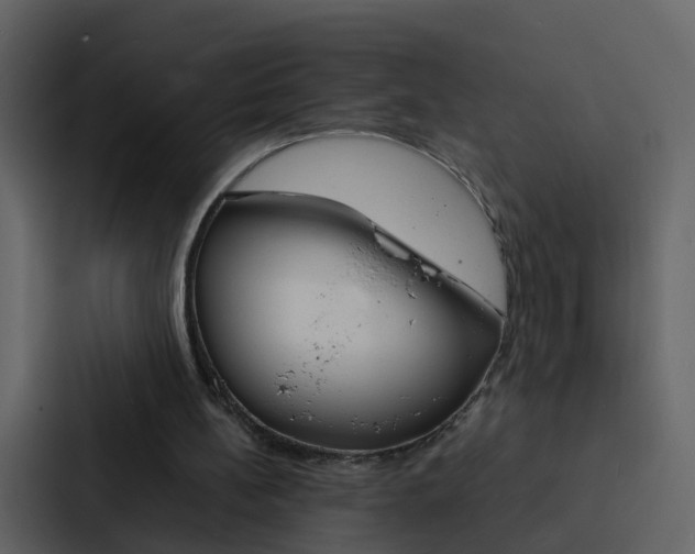 X0000088130148200705141004