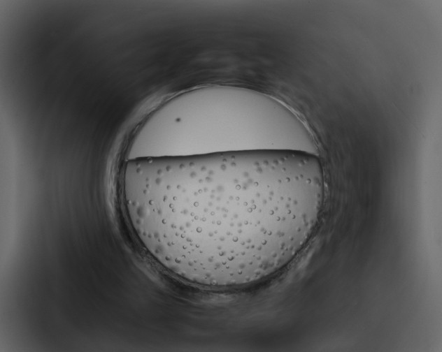 X0000088130149200705141004