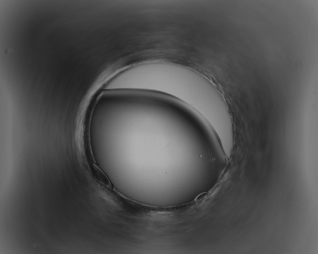 X0000088130150200705141004