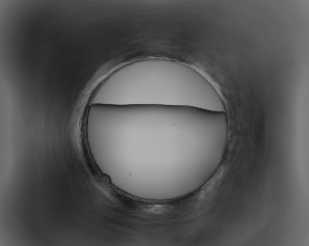 X0000088130151200705141004