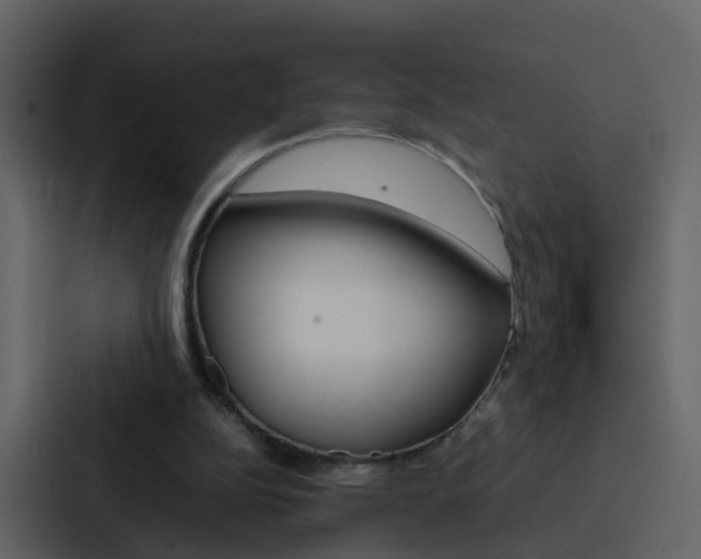 X0000088130152200705141004