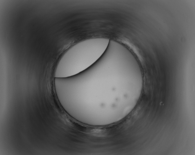X0000088130153200705141004
