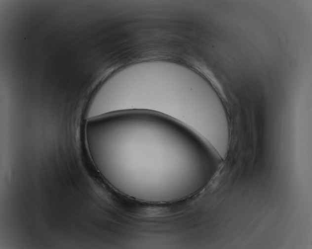 X0000088130154200705141004