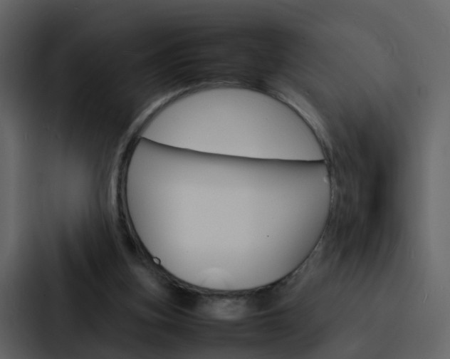 X0000088130155200705141004