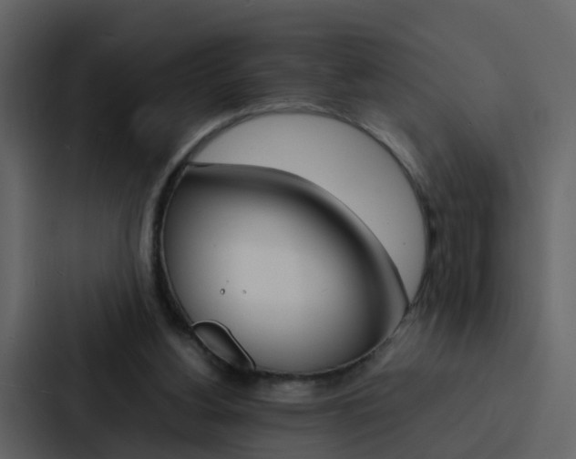 X0000088130156200705141004