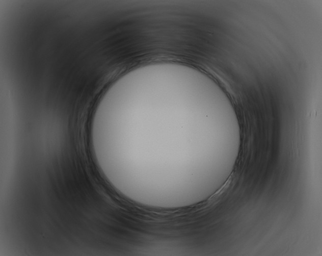 X0000088130158200705141004