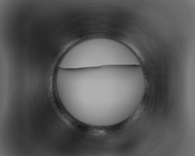 X0000088130159200705141004