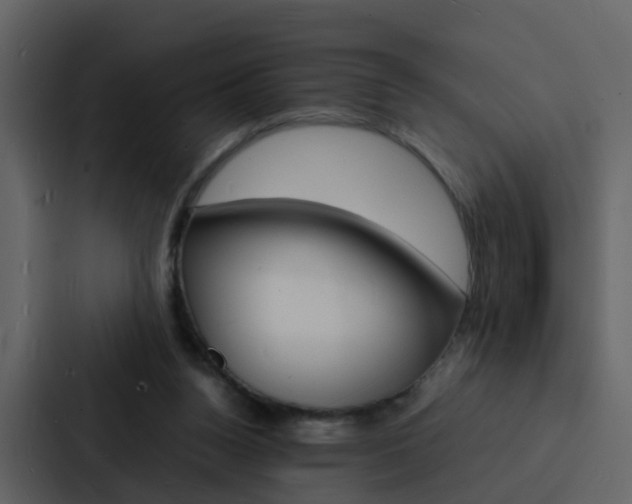 X0000088130160200705141004