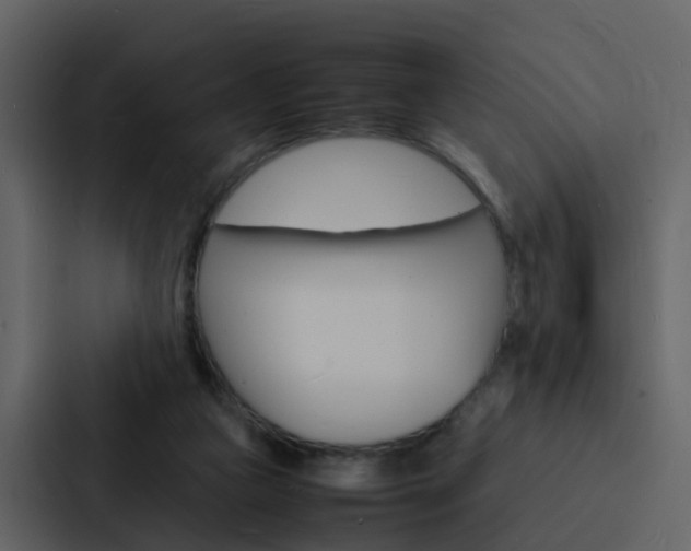 X0000088130161200705141004