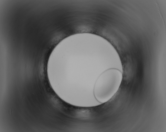 X0000088130162200705141004