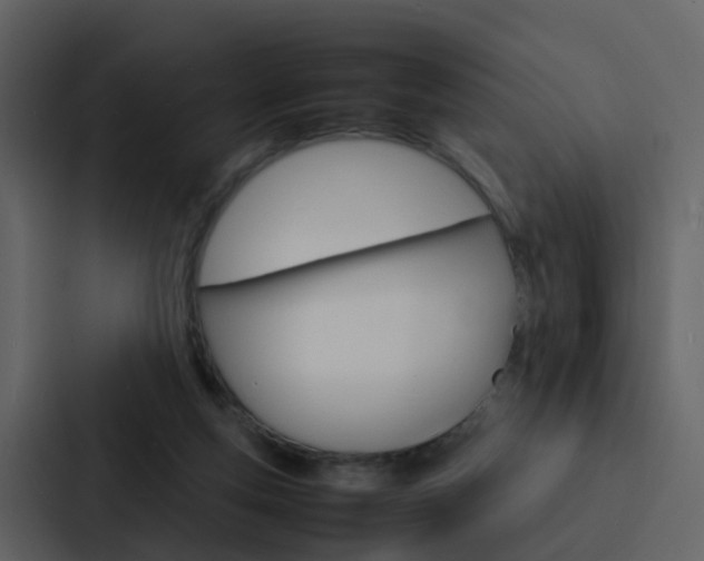 X0000088130163200705141004
