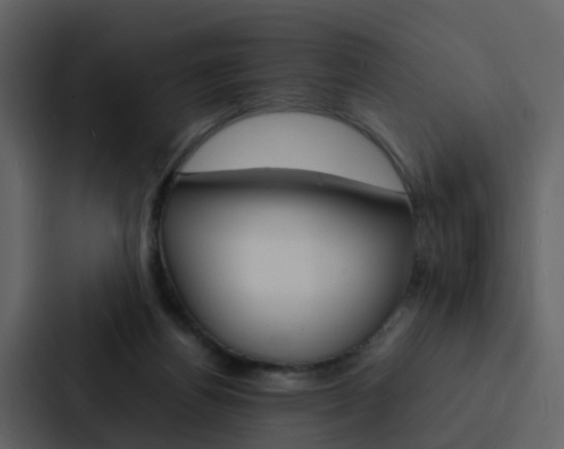 X0000088130164200705141004