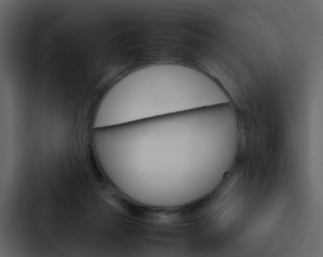 X0000088130165200705141004