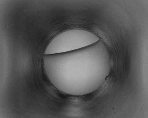 X0000088130167200705141004