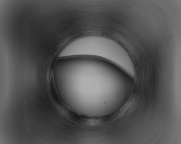X0000088130168200705141004
