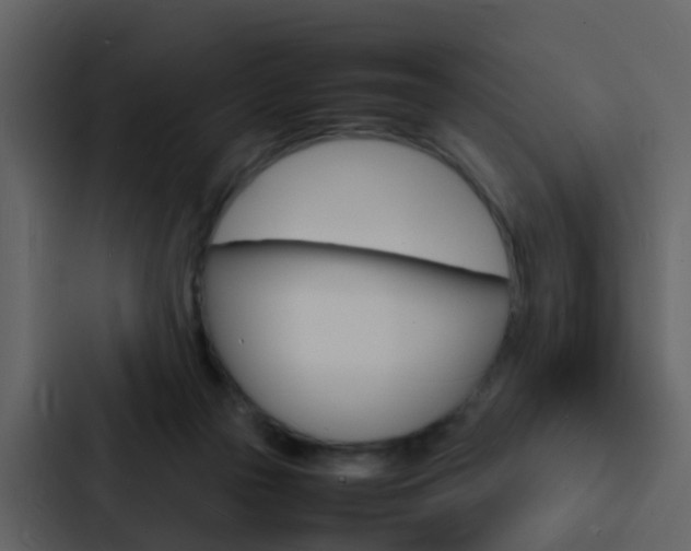X0000088130169200705141004