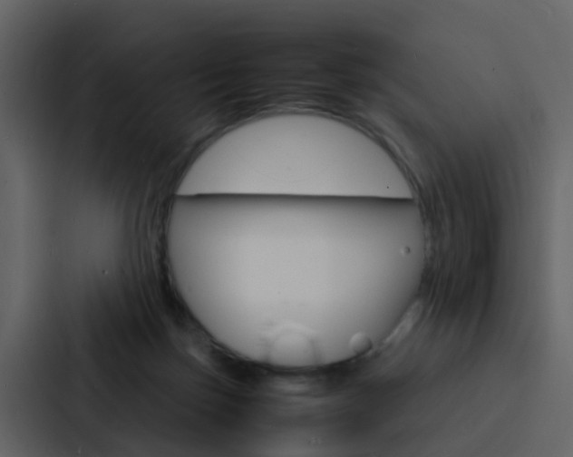 X0000088130171200705141004