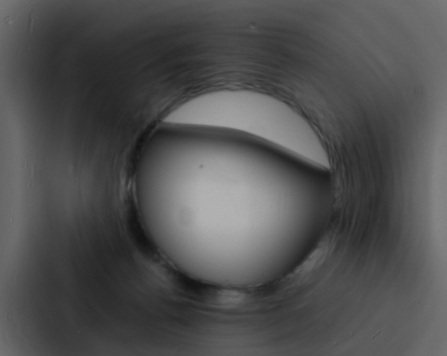 X0000088130176200705141004